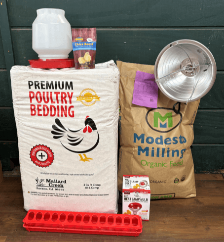 CHICK STARTER KIT MODESTO 40LB NO BROODER